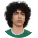 شمس الدين التاديلي
