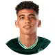 أحمد محمود