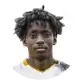 عادل محمود