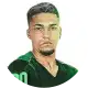 ميشيل بوتيغوار