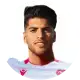 منير المهدي