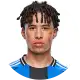يوري غوبوغلو