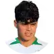 ذو الفقار محمد