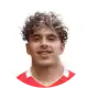 ضياء الدين مشيد