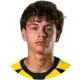 Thomas Artic