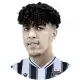 عصام عبدالحميد نعيم