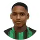 مسلم أناتوف