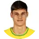 Niko Šepić