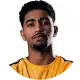 شامي ربيع