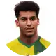 محمد الأمين نبي