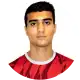 ماهير امرلي