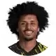 كريم أديمي