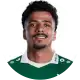 حسام عبد المجيد