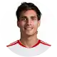 فيديريكو غاتوني
