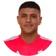 محمد هاني