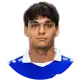 Josip Mitrovic