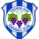Tochigi City