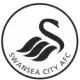 سوانزي سيتي