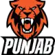 Punjab FC