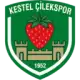 Kestelspor