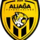 Aliaga