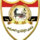 الانتاج الحربي